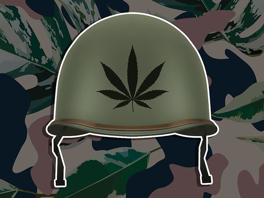 Die Grüne Armee: Wie Pro-Kiff-Veteranen Amerikas Krieg gegen Gras bekämpfen