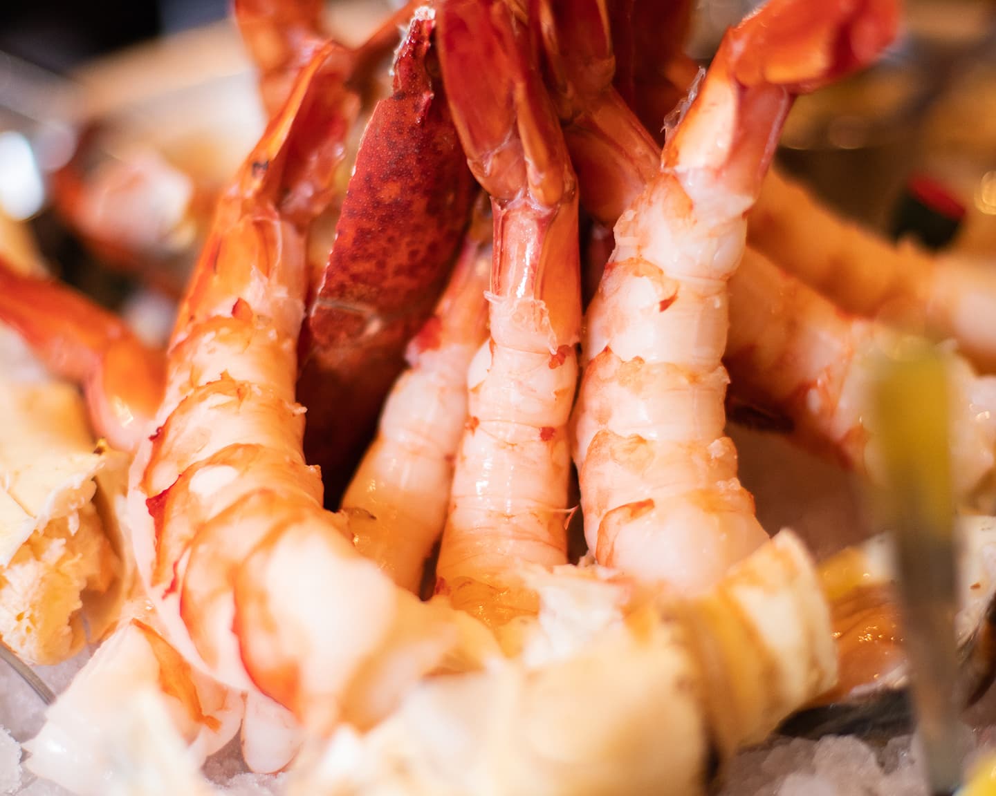 Playboy lässt sich auf den Parties nie lumpen, der Lifestyle geht vor!