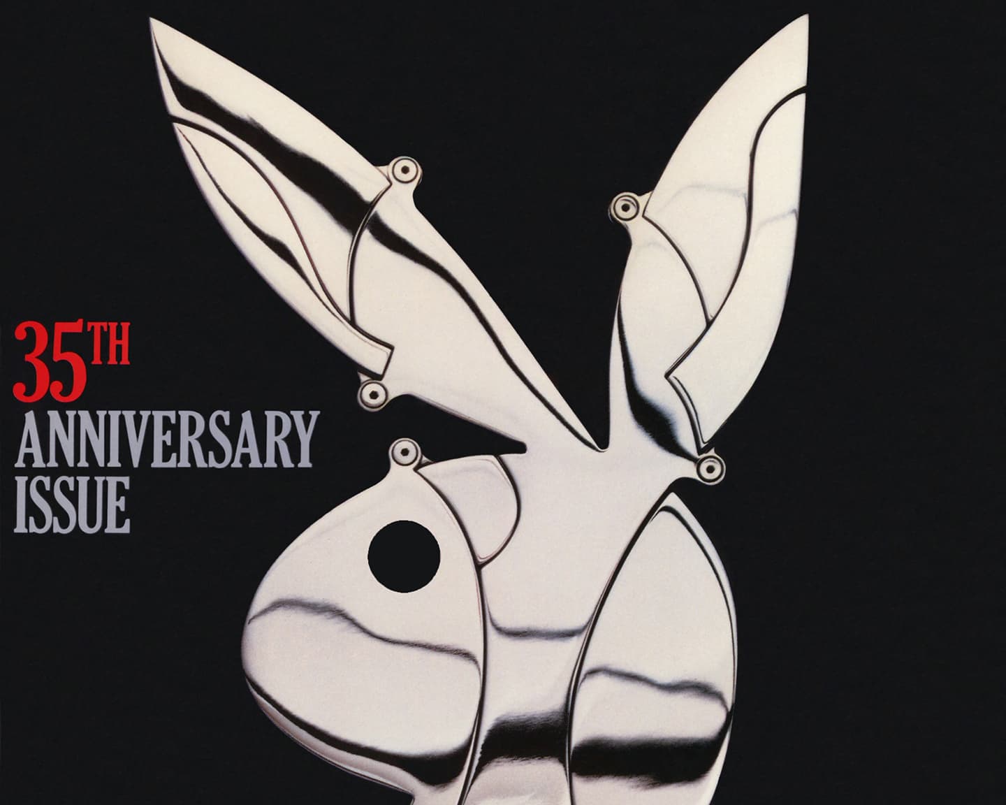 Playboy Heritage: Behind the Cover: January 1989