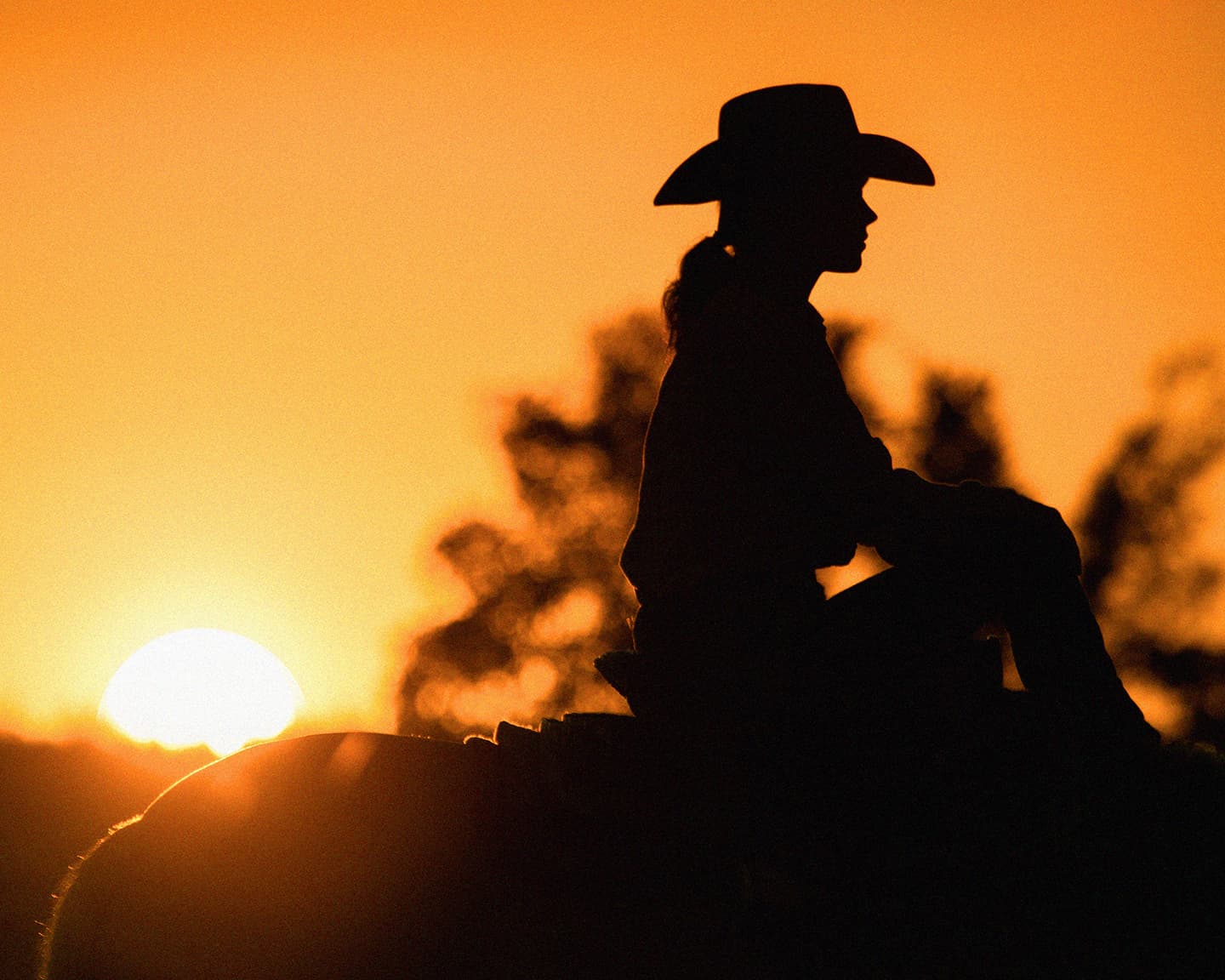 Playboy Entertainment: Playboy Fiction: Good-bye to Rootine