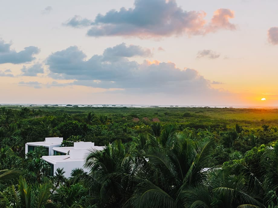 Von Pablo Escobar inspirierte Abenteuer sind im Trend, aber sind sie auch...