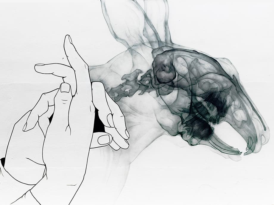 Aerosol-Röntgenkunst: Wo sich Kunst und Wissenschaft treffen