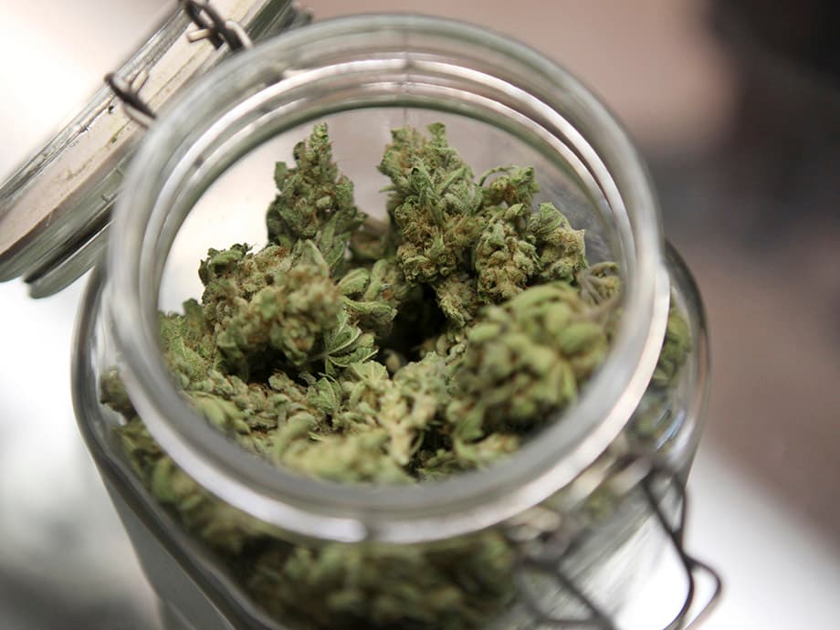 Ihr praktischer Leitfaden zur Lagerung von Cannabis