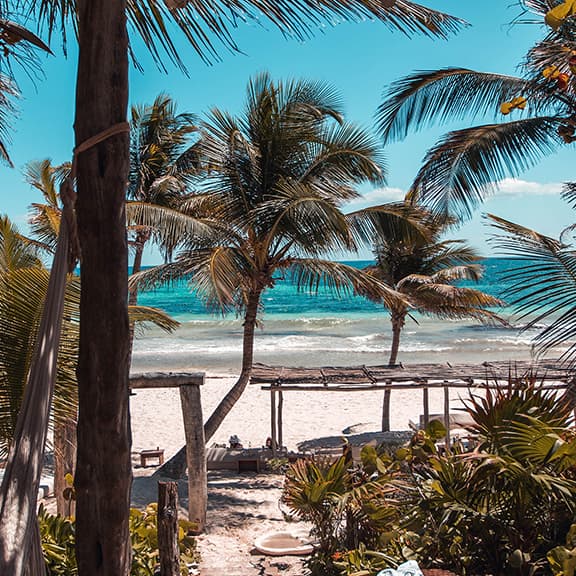 Wiederaufbau der Karibik und der Kampf gegen den Klimawandel