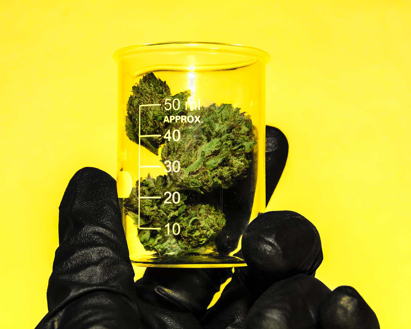 Playboy Drugs & Leisure: The Future of Fully Legal Cannabis