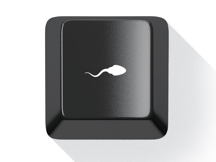 Ist die geschlechtslose Gegenwart Japans die sexuelle Zukunft Amerikas?