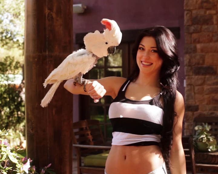 Nicht nur hübsch, sondern auch äußerst sympathisch: Tierliebhaberin und Cybergirl Stefanie Knight