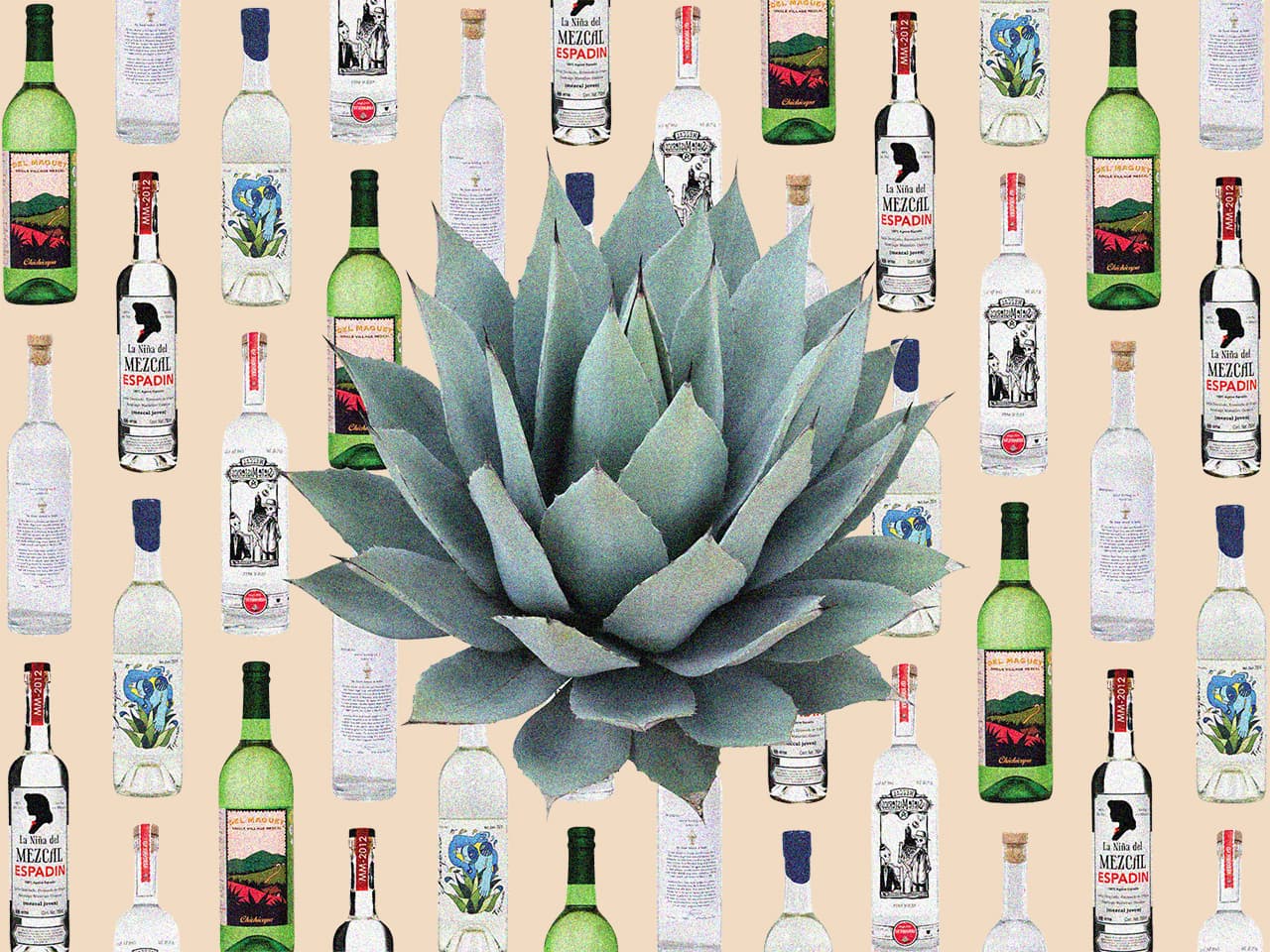 (Fast) alles, was Sie über Mezcal wissen müssen