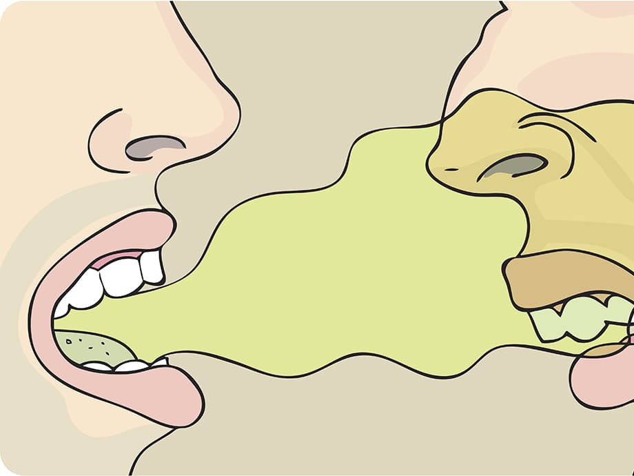 6 Lebensmittel - und einige andere Dinge - die Ihren Atem stinken...