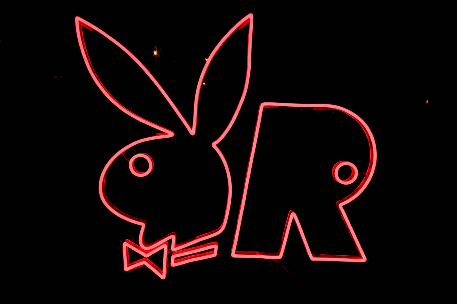 Rabbitar Party Rekapitulation