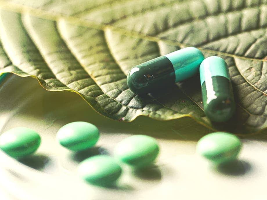 Kratom: Die Droge, die der Regierung aus den falschen Gründen Angst macht