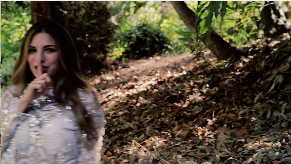 Es gibt so viele Nacktmagazine in Amerikas Wäldern: Ein Sonderbericht