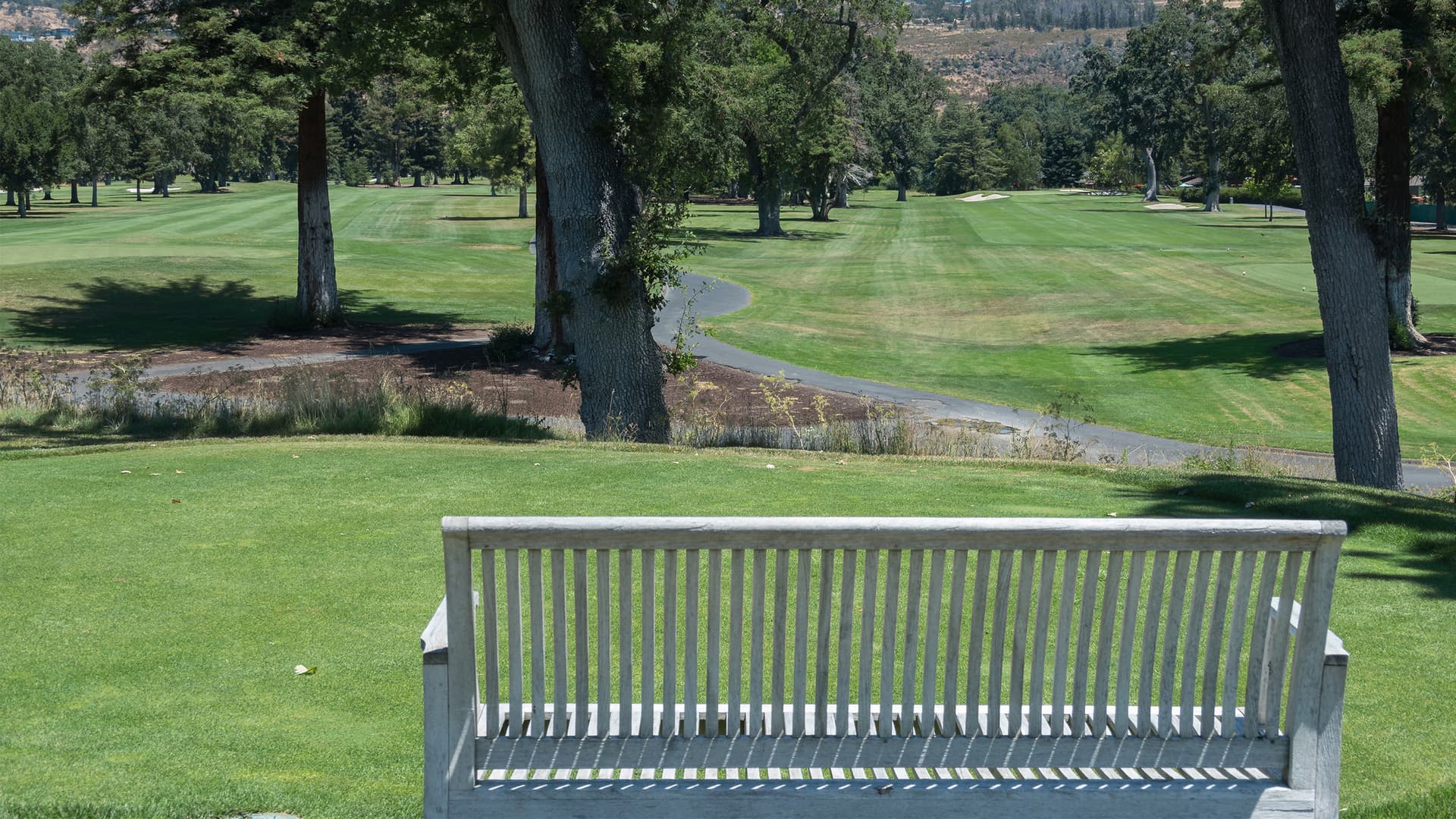 PGA Tour: Die besten Wetten in den sozialen Medien für die Procore...