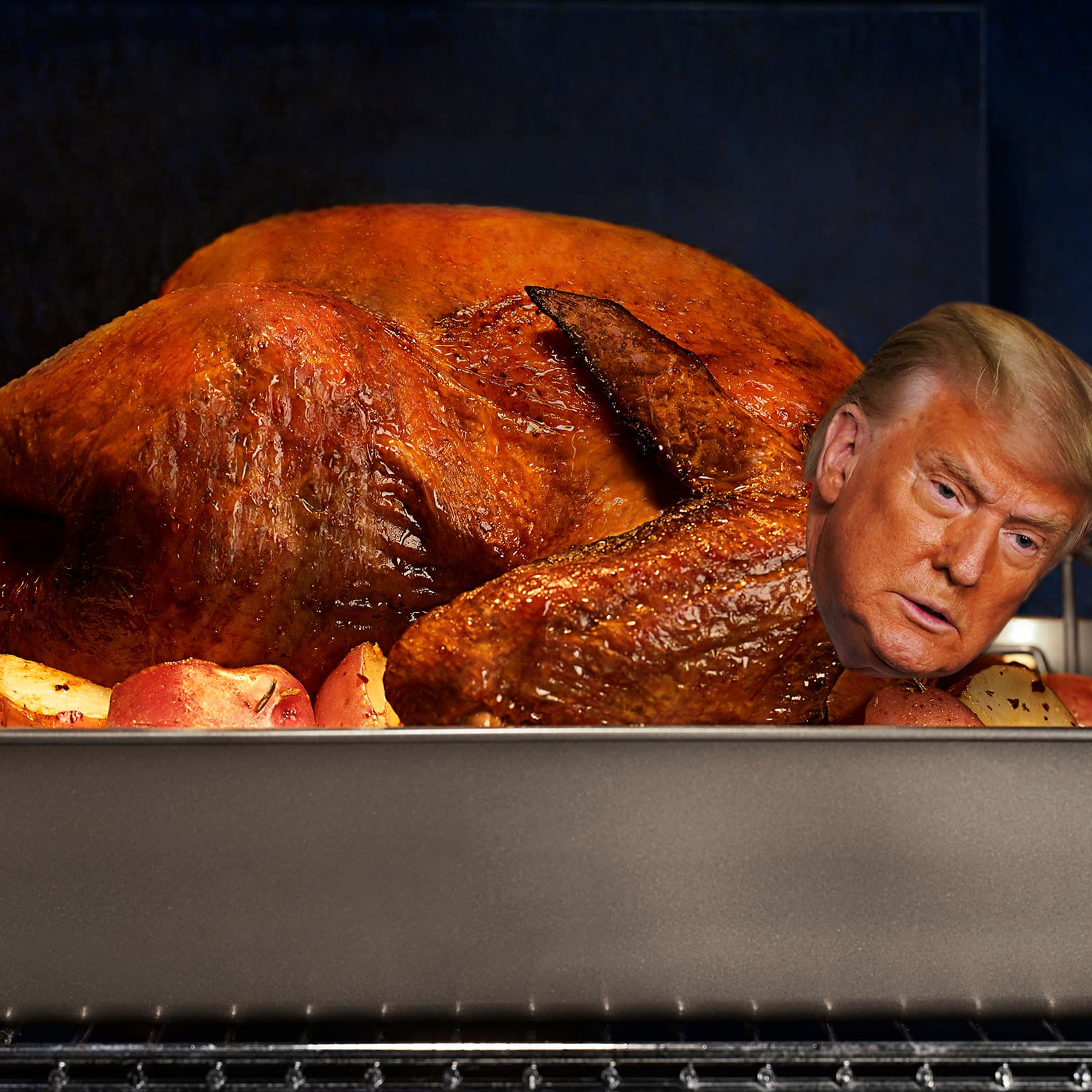 Mit Trump ist jeder Tag ein Truthahntag