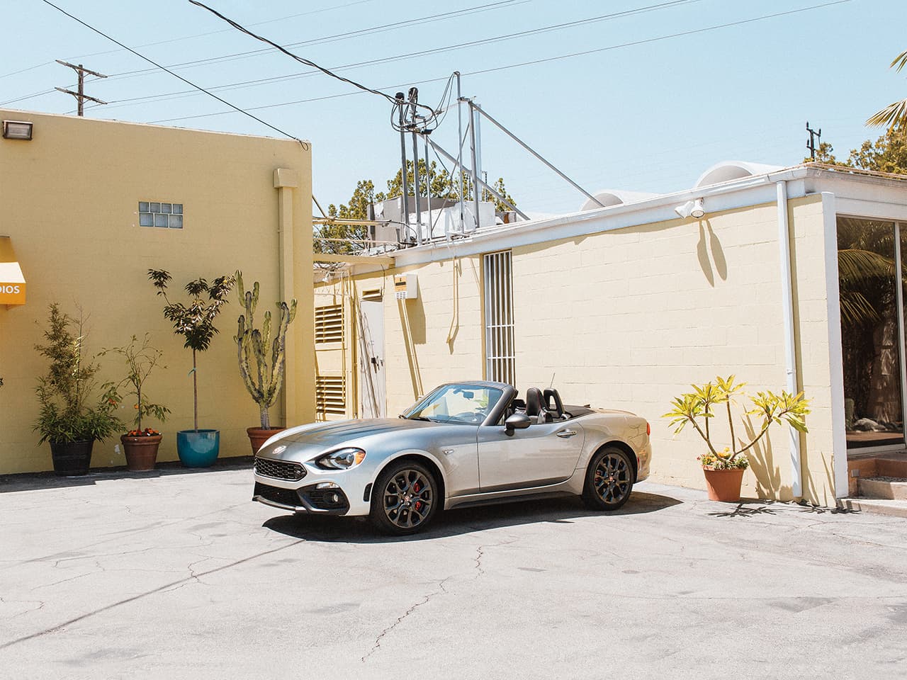 Die Rückkehr der Spinne