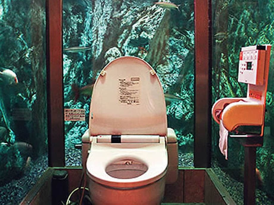 Spiel der Throne: Auf der Suche nach der wichtigsten Toilette der Welt