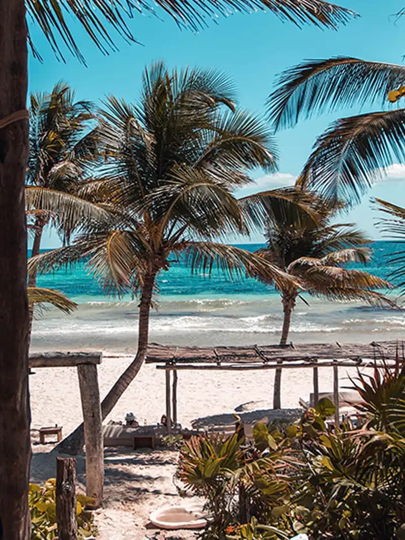 Wiederaufbau der Karibik und der Kampf gegen den Klimawandel