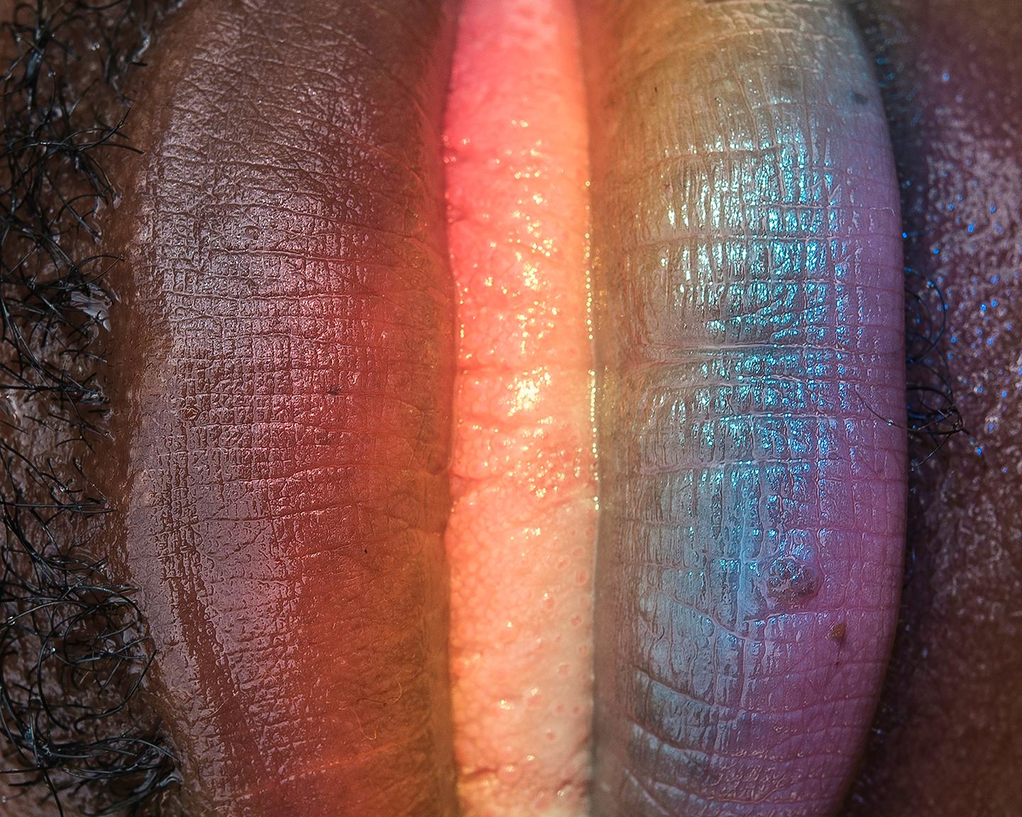 Playboy Art & Architecture: Dive Into the Sweet and Uncomfortable World of Honey and Prue